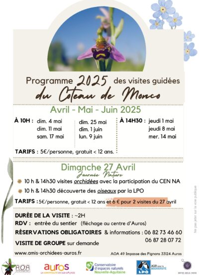 Flyer AOA 2025